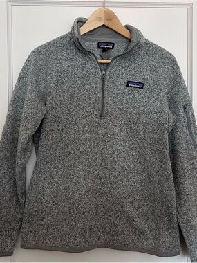 Patagonia Heather Gray Full-Zip Fleece Jacket